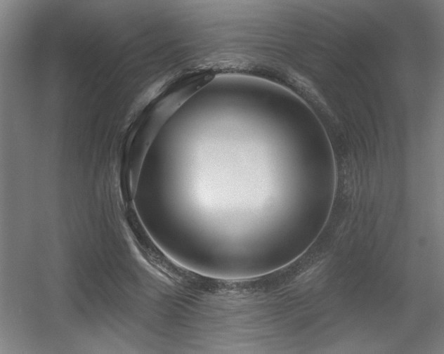 X0000055990538200508221259