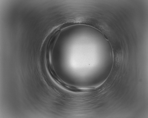 X0000055990540200508221259