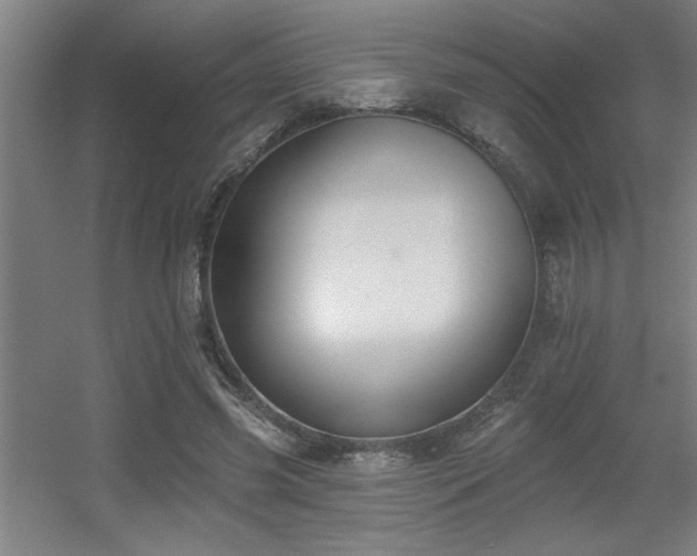 X0000055990541200508221259