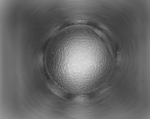 X0000055990550200508221259