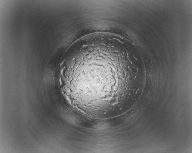 X0000055990551200508221259