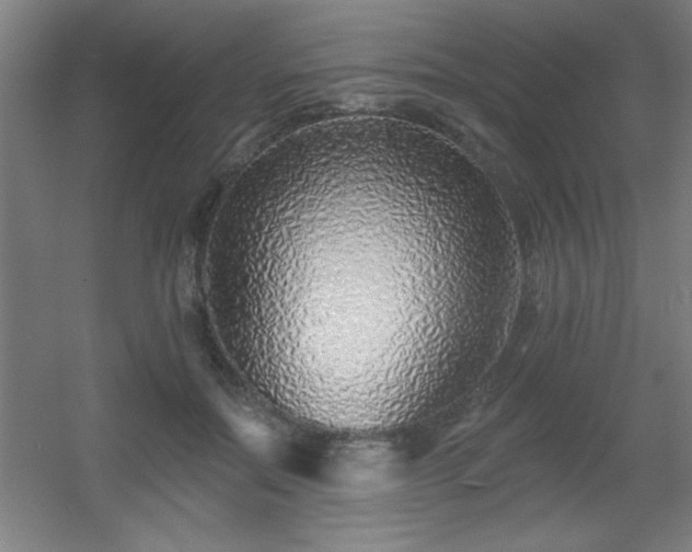 X0000055990554200508221259