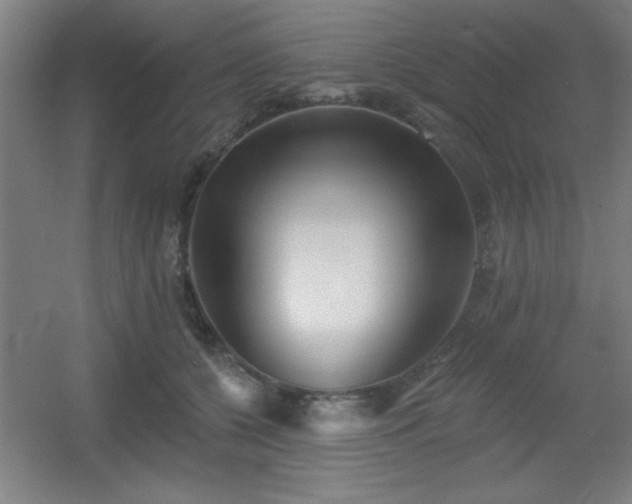 X0000055990560200508221259