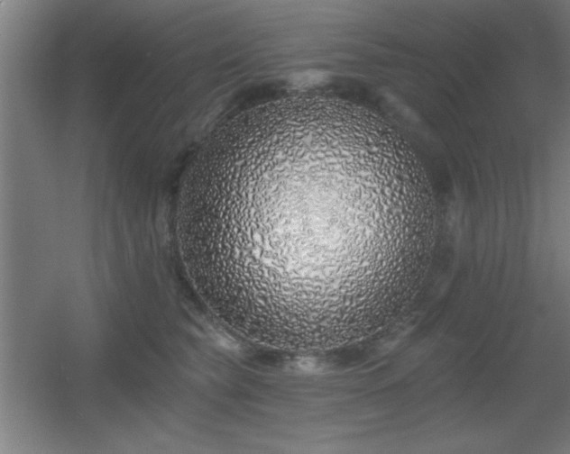 X0000055990565200508221259