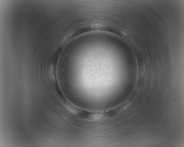 X0000055990575200508221300