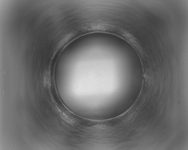 X0000055990578200508221259