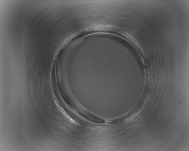 X0000055990581200508221259