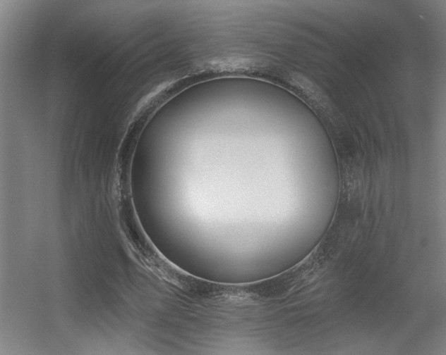 X0000055990583200508221259