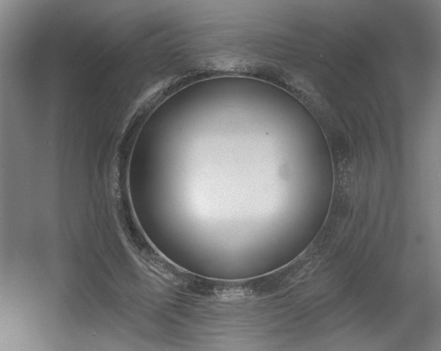 X0000055990587200508221259