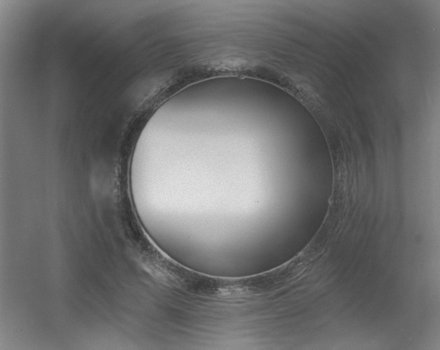 X0000055990591200508221259