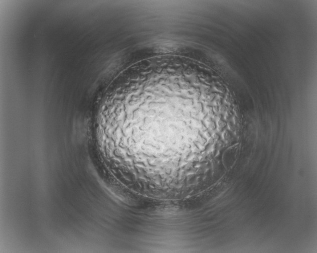 X0000055990598200508221258