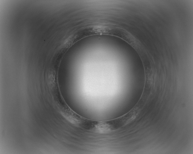 X0000055990603200508221258
