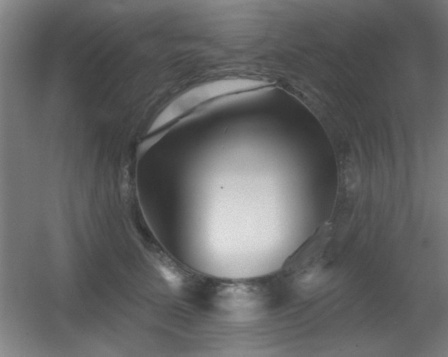 X0000055990611200508221258