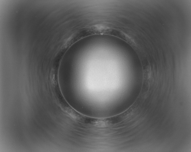 X0000055990615200508221258