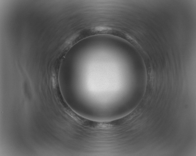 X0000055990617200508221258