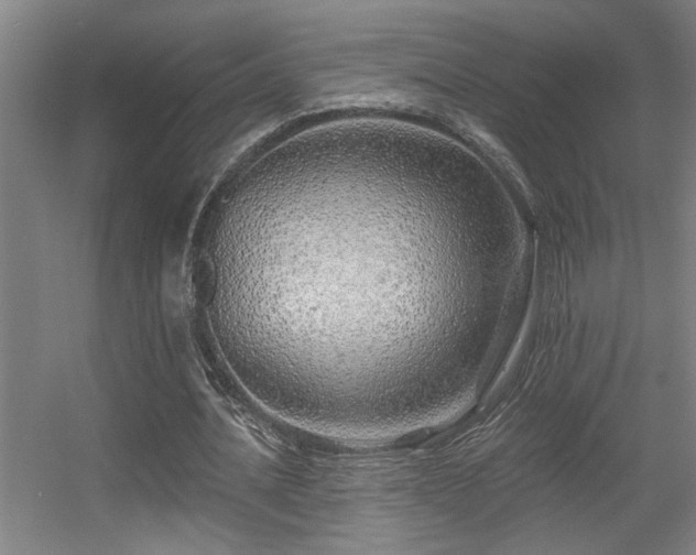 X0000055990628200508221257