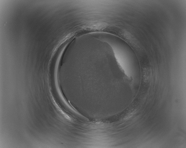 X0000055990634200508221257