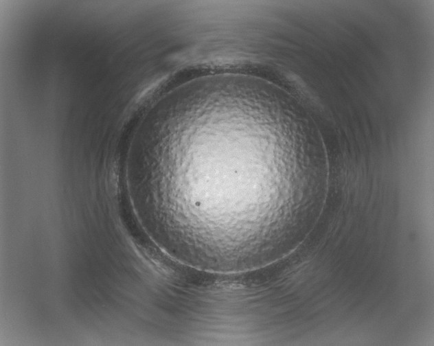 X0000055990640200508221257