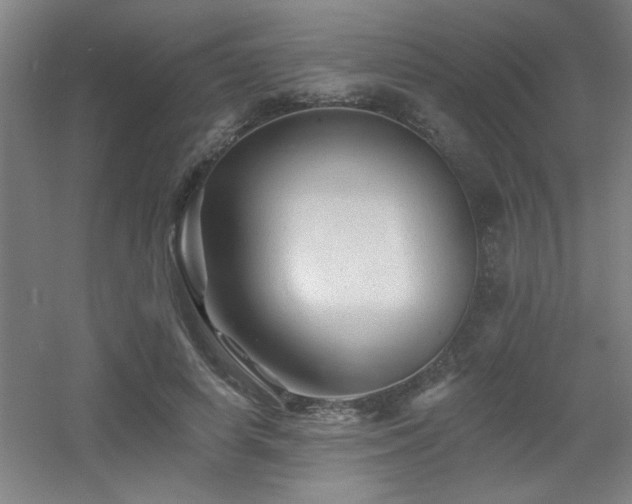 X0000055990642200508221258