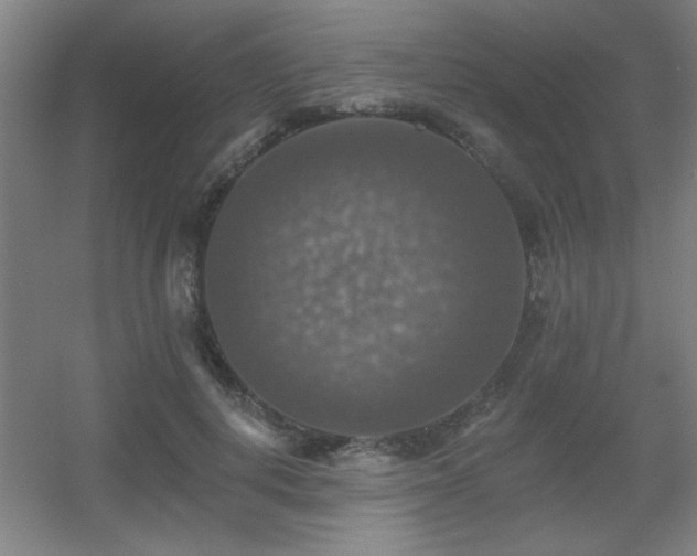 X0000055990648200508221258