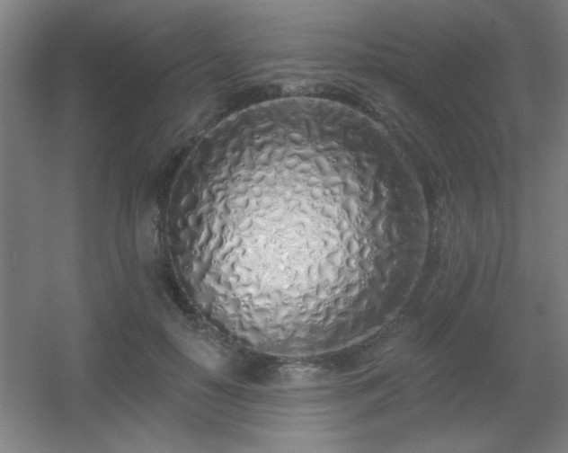 X0000055990650200508221258