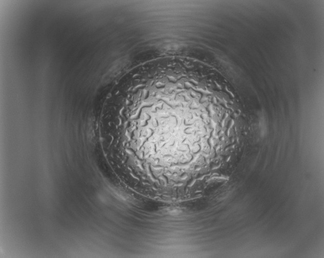 X0000055990654200508221258