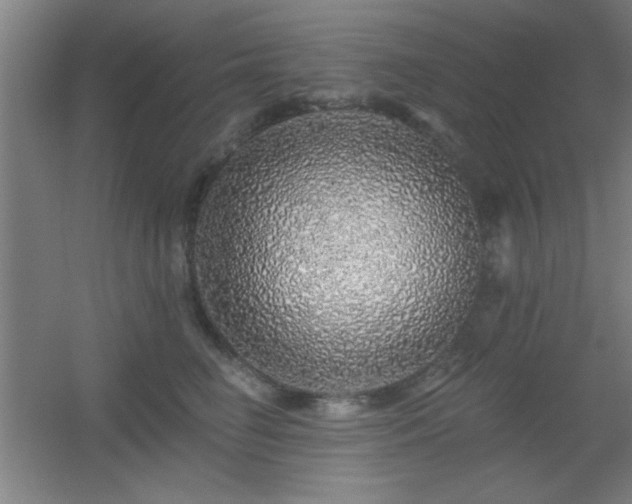 X0000055990662200508221258