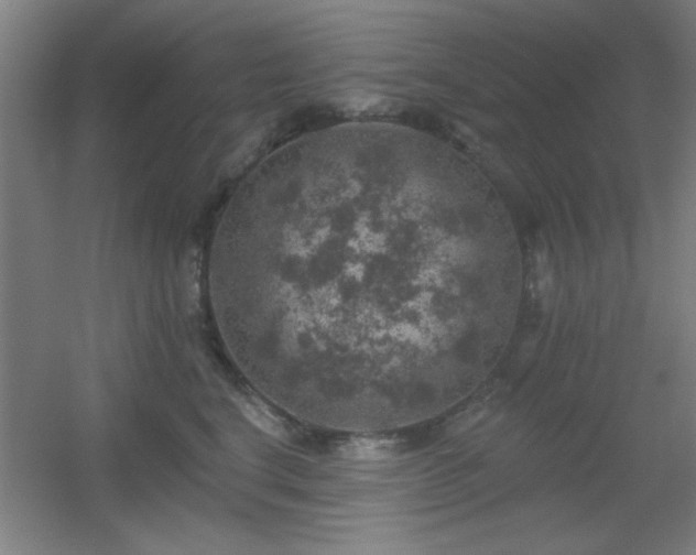 X0000055990664200508221258