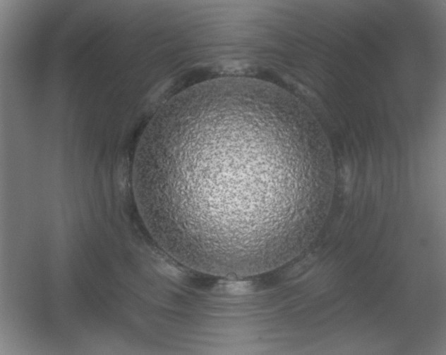X0000055990665200508221258