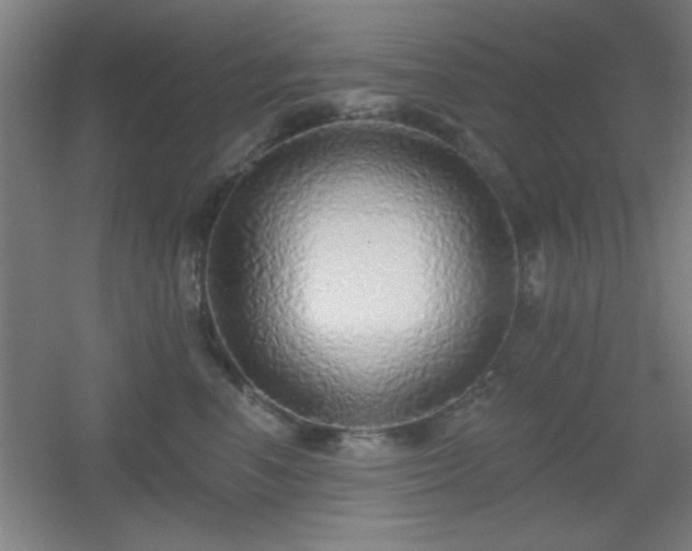X0000055990666200508221258