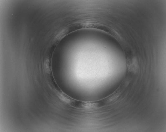 X0000055990670200508221258