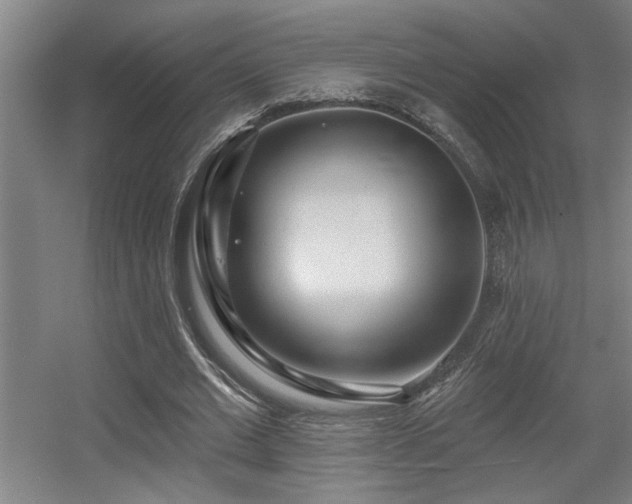 X0000055990677200508221257