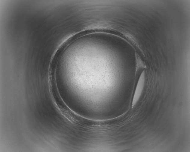 X0000055990680200508221257