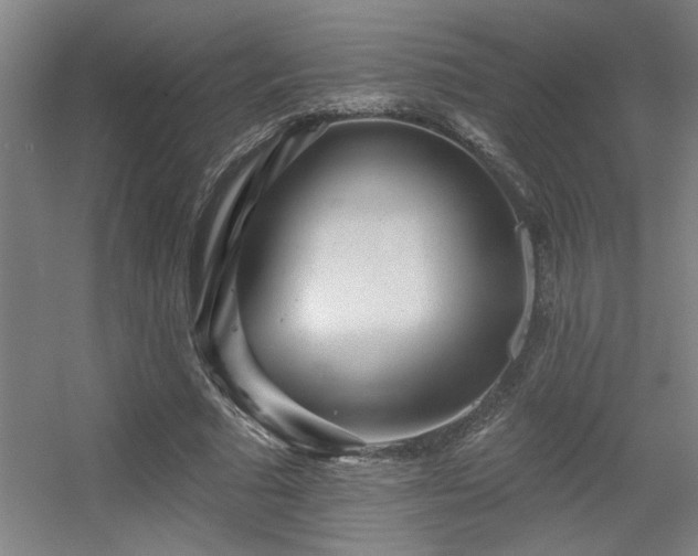 X0000055990681200508221257