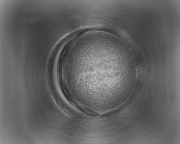 X0000055990684200508221257