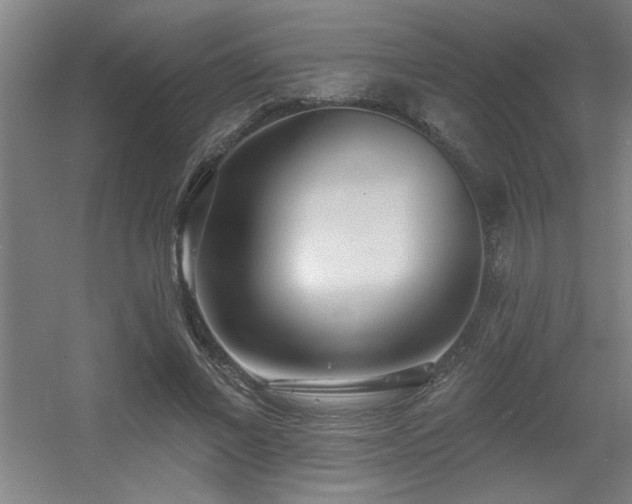 X0000055990685200508221257