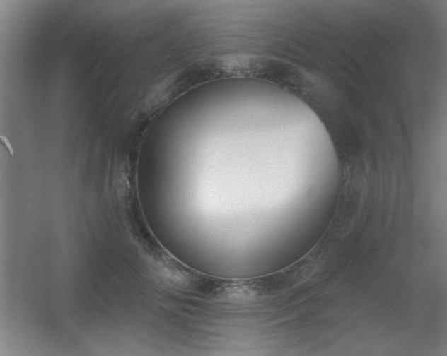 X0000055990702200508221257