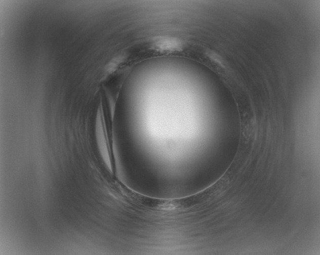 X0000055990704200508221257