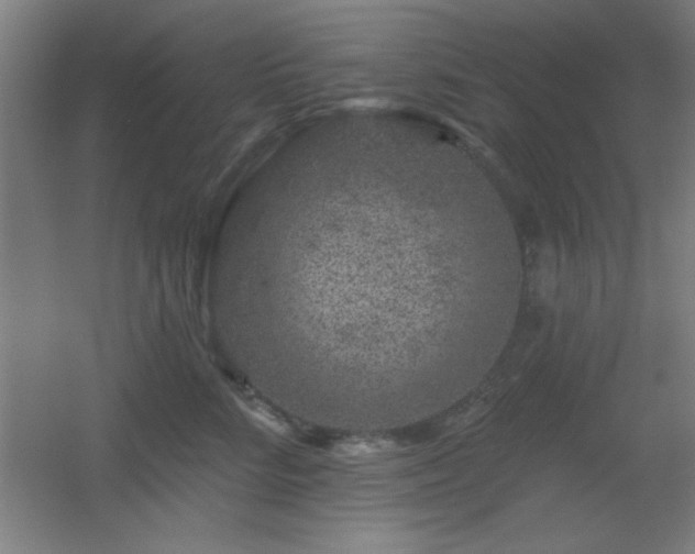 X0000055990712200508221257
