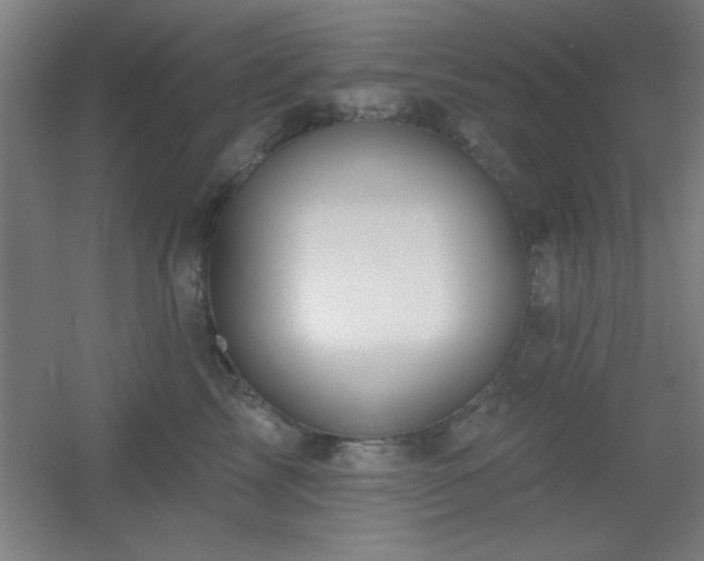 X0000055990713200508221257