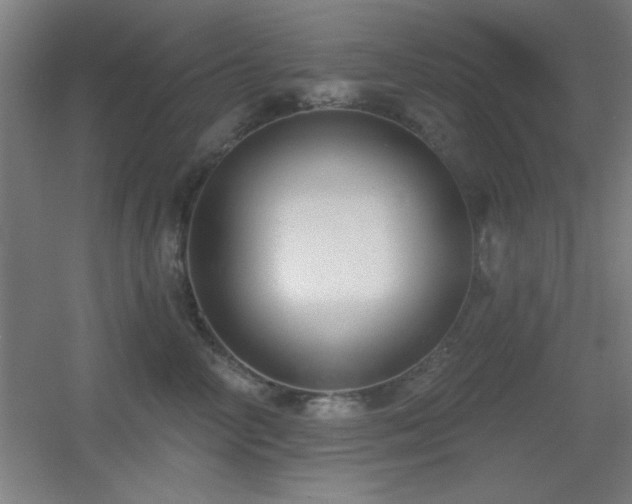 X0000055990714200508221256