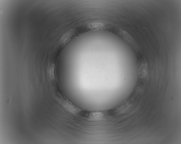 X0000055990717200508221256