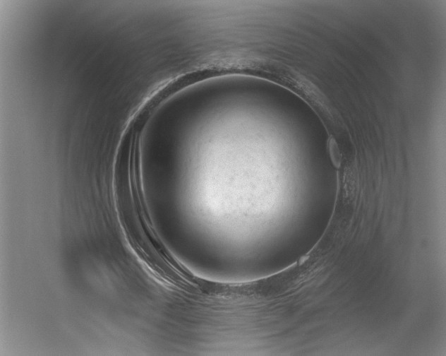 X0000055990722200508221256