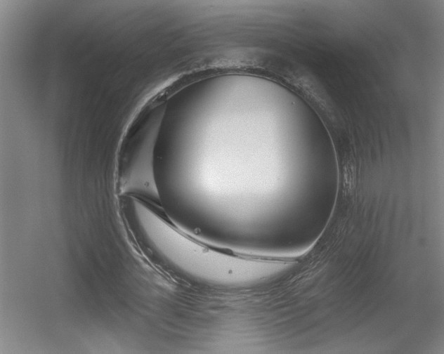X0000055990724200508221256