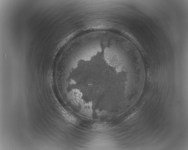 X0000055990725200508221256