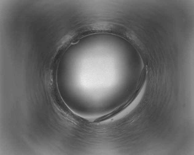 X0000055990731200508221256