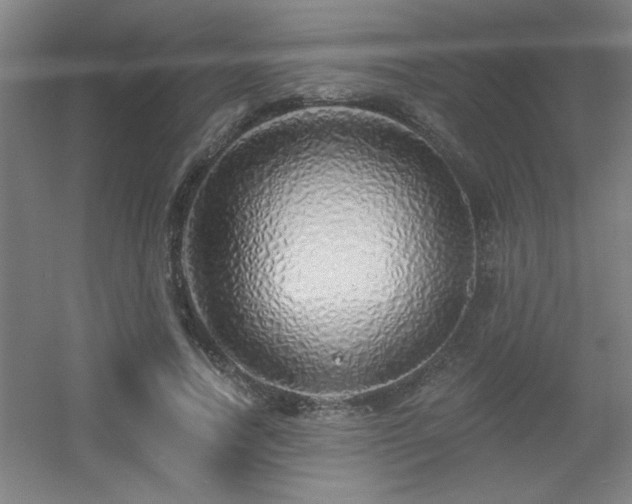 X0000055990738200508221256