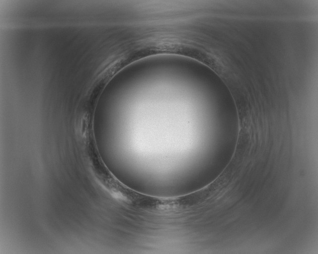 X0000055990744200508221256