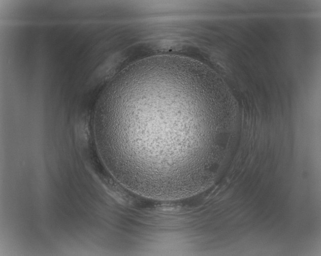 X0000055990746200508221256