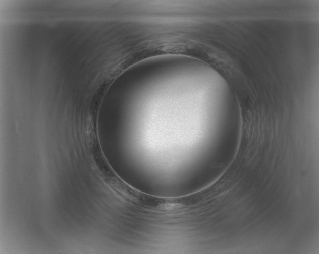 X0000055990748200508221256